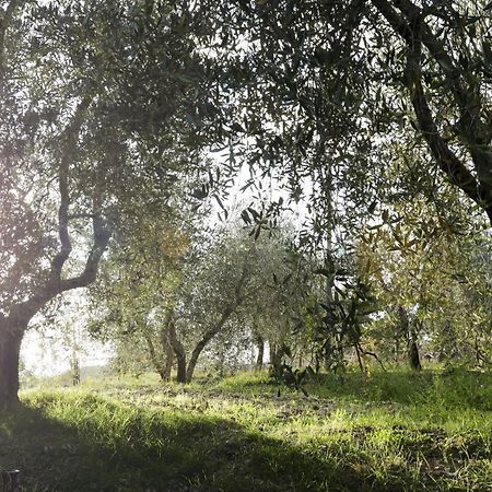 Country House Sofiavillas Gaiole in Chianti Eksteriør bilde